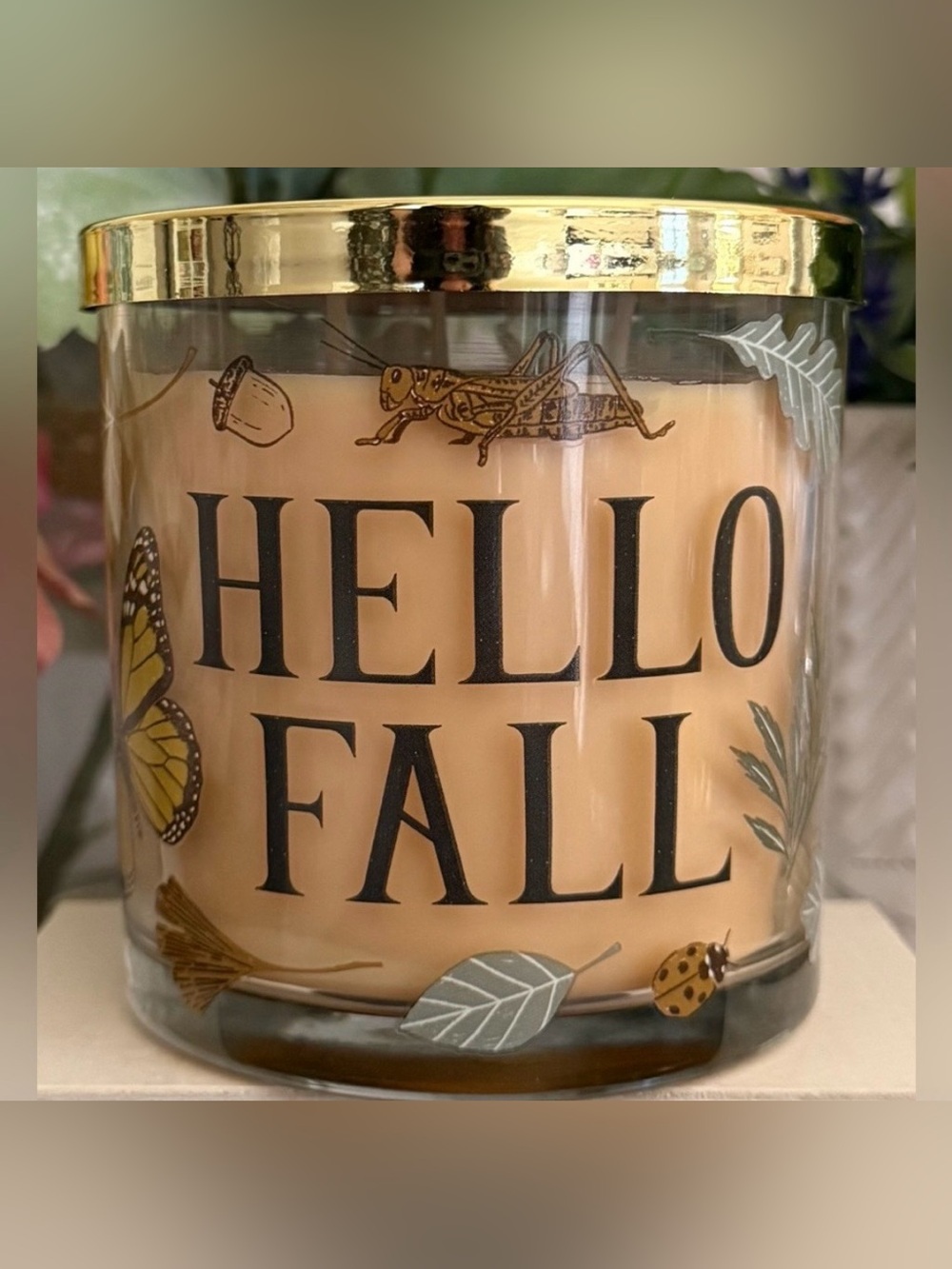 🆕🍁 CELEBRATE TOGETHER “FALLING LEAVES” 3-WICK SCENTED CANDLE. NEW. (13.3 oz)